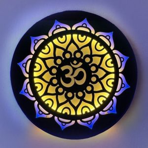Om Chakra Neon LED Wall Décor Light | India's Holy Collection